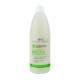 Шампунь для чувствительной кожи Spa Master Prof EVERYDAY 196 SM 970 мл. - фото 1