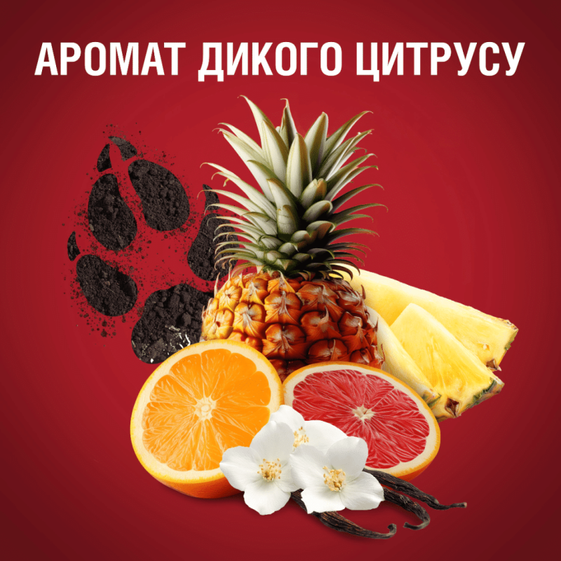 Дезодорант Old Spice Wolfthorn чоловічий аерозольний 150 мл 6595