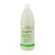 Шампунь для сухої та чутливої шкіри Spa Master Prof EVERYDAY 196 SM 970 мл. - фото 1