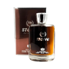 Туалетна вода чоловіча TRI MAN STONE EDT 100 мл.