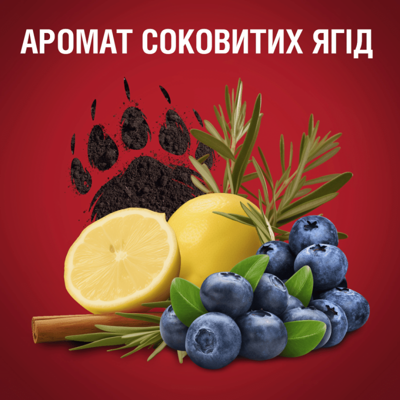 Дезодорант Old Spice Bearglove чоловічий твердий 50 мл 2640