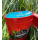 Дезодорант Old Spice Wolfthorn чоловічий твердий стик 50 мл 2173 - фото 2