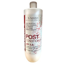 Бальзам стабілізатор Spa Master Prof BASIC LINE 403 SM після фарбування 1000 мл