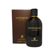 Парфюмерная вода мужская PARADISE INTENSIVO POUR HOME man EDP 100 мл. 0853