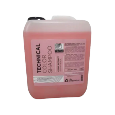 Шампунь TEYA professional Technical color для фарбованого волосся 5 л.