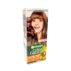 Фарба для волосся GARNIER Color Naturals 6.25 Каштановий шатен - фото 1