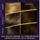 Крем-фарба для волосся Wella Color Perfect 6/74 Бурштиновий темно-русявий 135 мл 8345 - фото 3