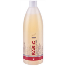 Шампунь Spa Master Prof BASIC LINE 152 SM після фарбування 970 мл.